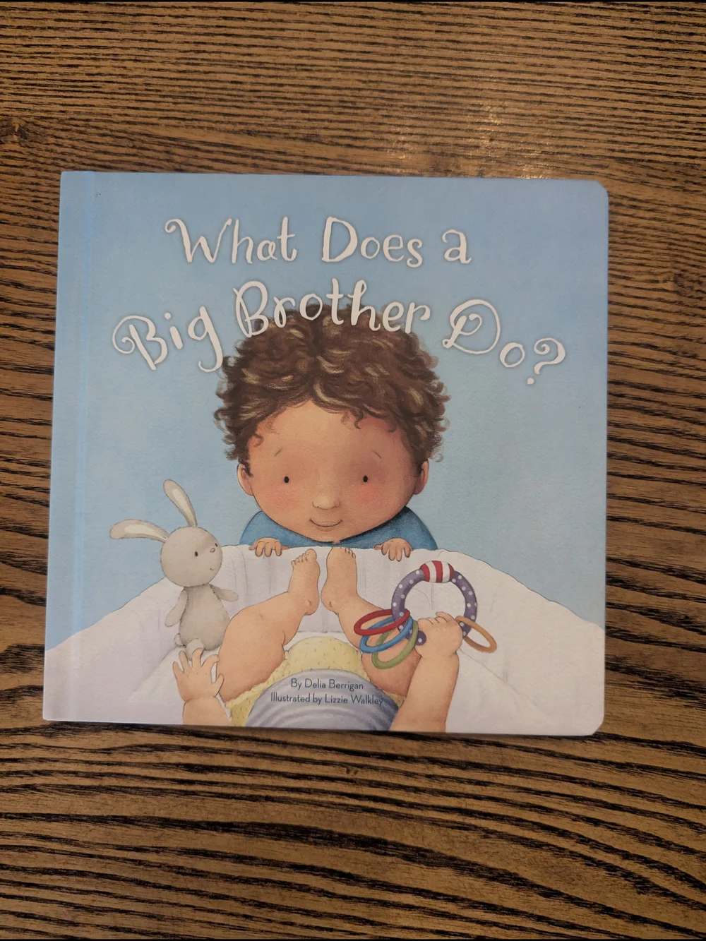 Big Brother New Baby Hardcover Book Bundle